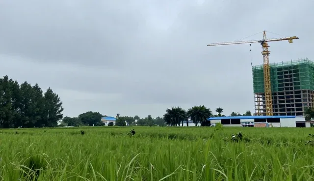 网络内容传播趋势下的公众号运营新路径